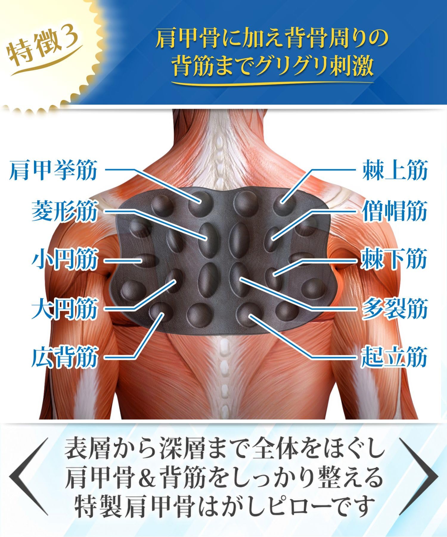 Amazon | 【特許庁登録の独自設計】 肩甲骨はがし ピロー Pro 【たった
